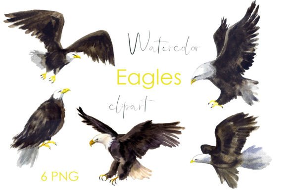 Watercolor Eagle Clipart. Eagle PNG Graphic Illustrations By KomtsyanTatyanaArt
