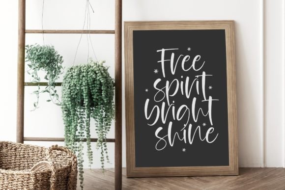 Canfiled Font - Preview 1