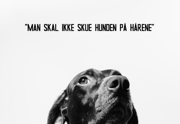 Khali Neue Font PNG with transparent background - Preview 2