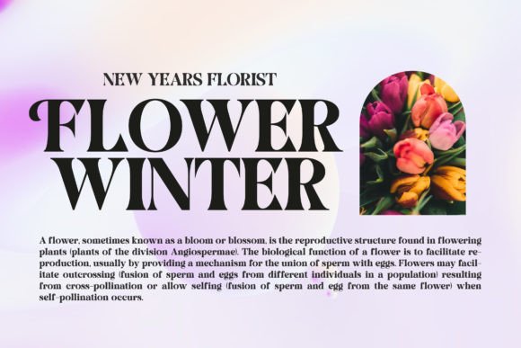 Bosento Font - Preview 6