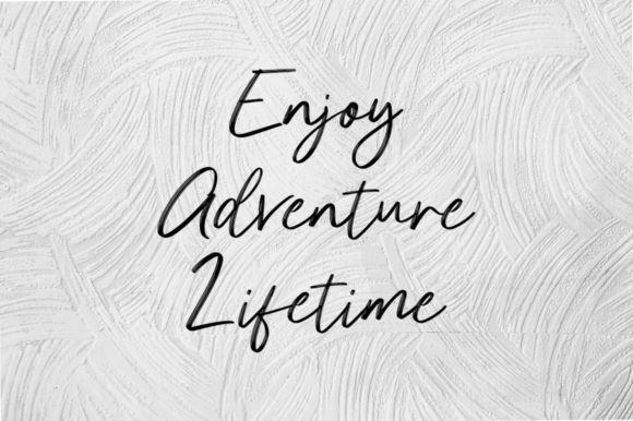 Brush Signature Font - Preview 5