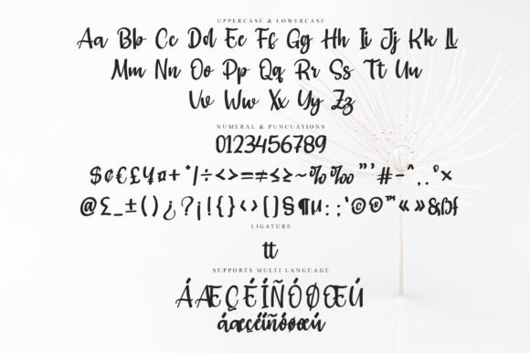 Handland Font - Preview 6