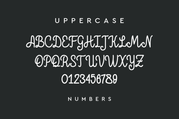 Joko Kendil Font PNG with transparent background - Preview 1