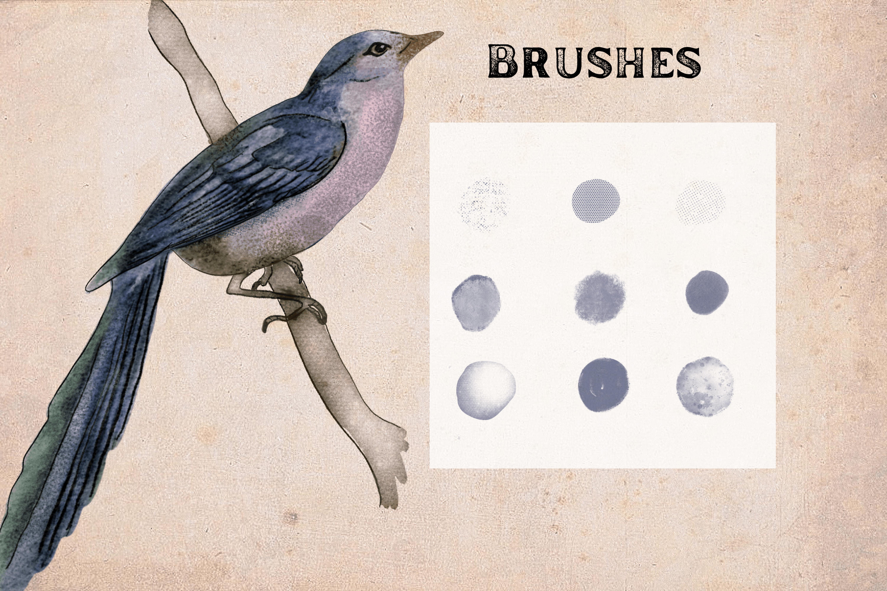 Vintage Painting Brushes for Procreate - photo 4