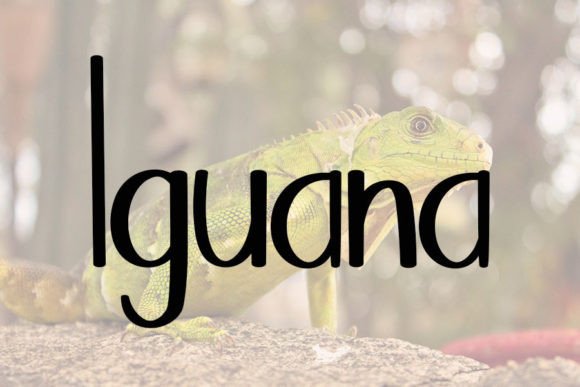Alligator Font - Preview 2