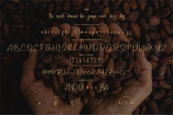 Angosega Font - Preview 5