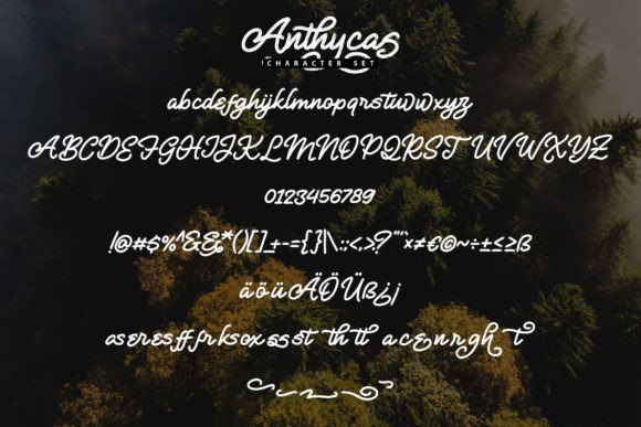 Anthycas Font - Preview 4