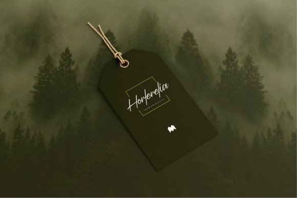 Badoga Signature Font - Preview 3