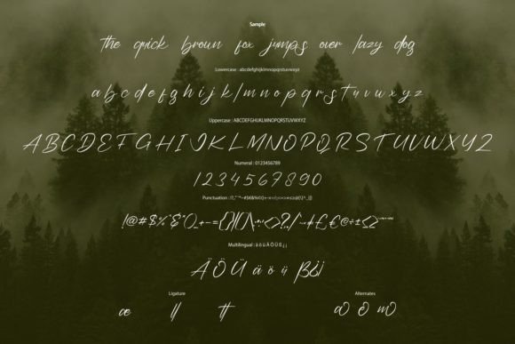 Badoga Signature Font - Preview 5