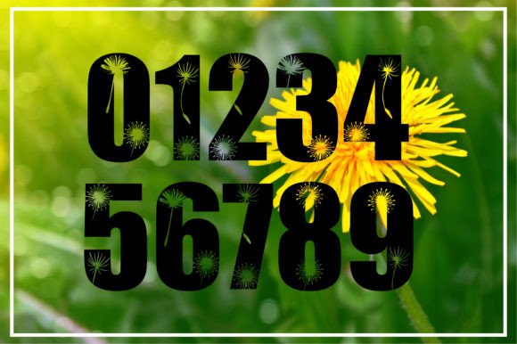 Dandelion Font - Preview 2