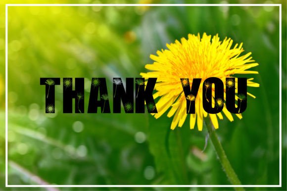 Dandelion Font - Preview 3