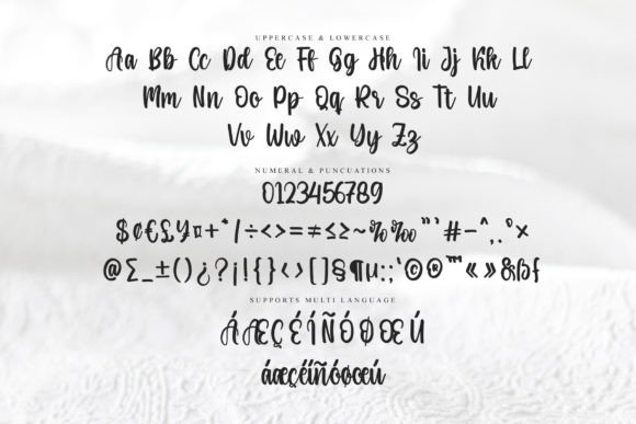 Farmhouse Font - Preview 4