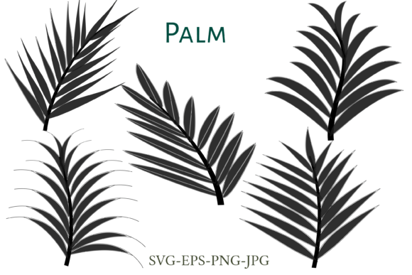 Palm Leaf Silhouette Graphic Illustrations By Justnaturephoto_shop