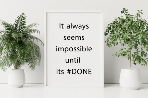Primo Font PNG with transparent background - Preview 2
