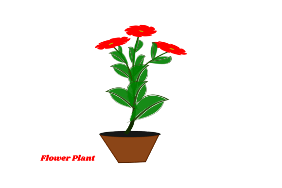 Decorative Plants Flower Pot