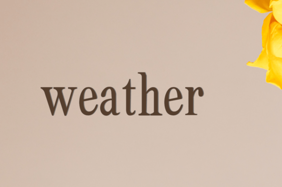 Harlow Font - Preview 4