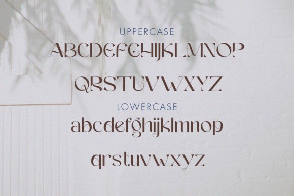 Agnoses Font - Preview 2