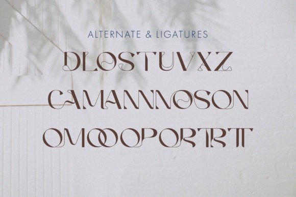 Agnoses Font - Preview 3