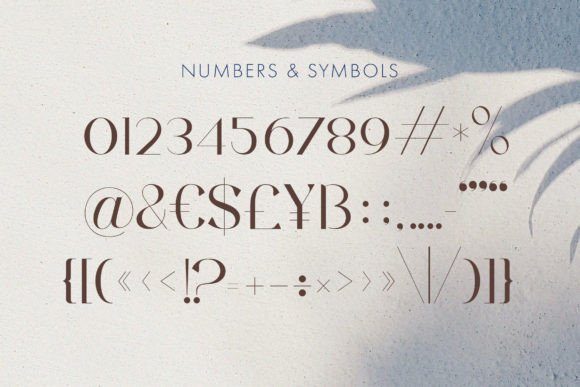 Agnoses Font - Preview 4