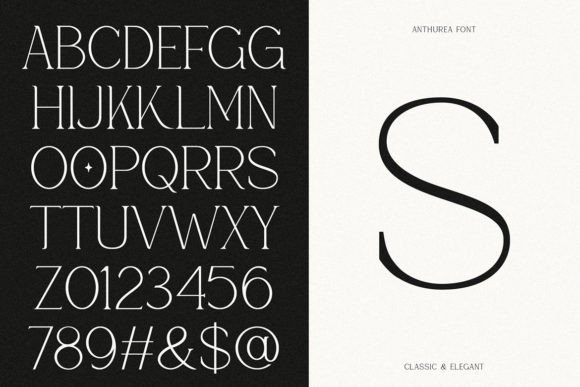 Anthurea Font - Preview 6