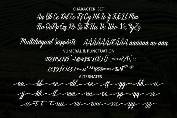 Bestie Forever Font - Preview 3