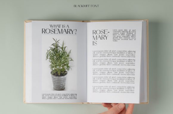 Blackduff Font PNG with transparent background - Preview 1