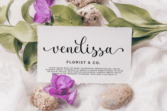 Dignetta Font - Preview 4