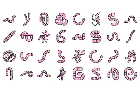 Worm Icons Set Vector Flat Graphic Icons By ylivdesign