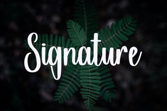 Acoustic Font - Preview 2