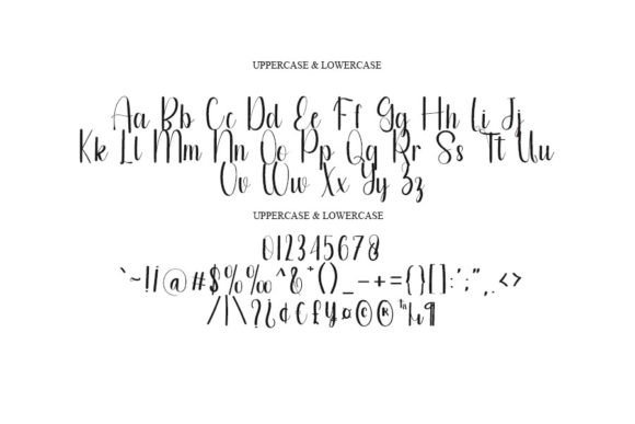 Autography Font - Preview 3