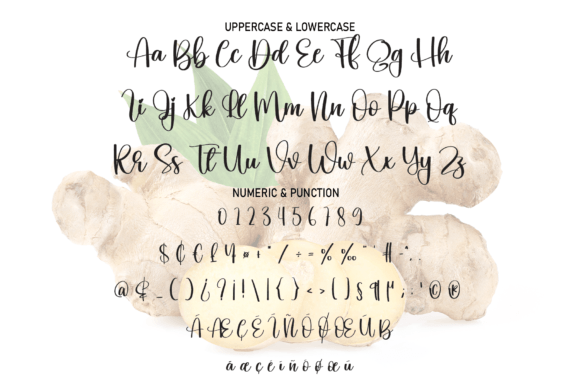 Ginger Font - Preview 6