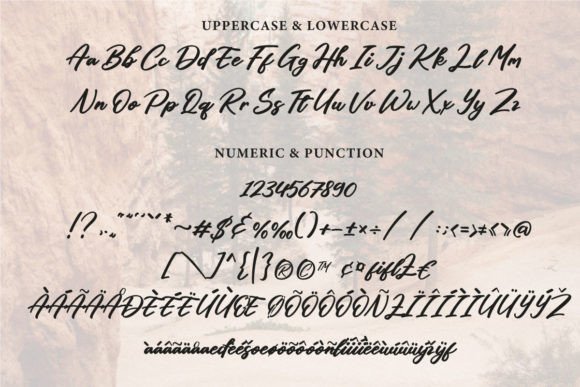Bancroft Font - Preview 6
