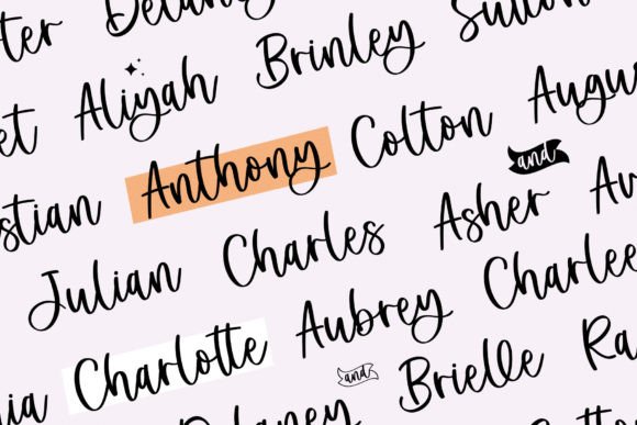 Bethny Charlie Font - Preview 3
