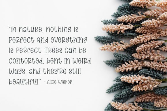 Country Harvest Font - Preview 1