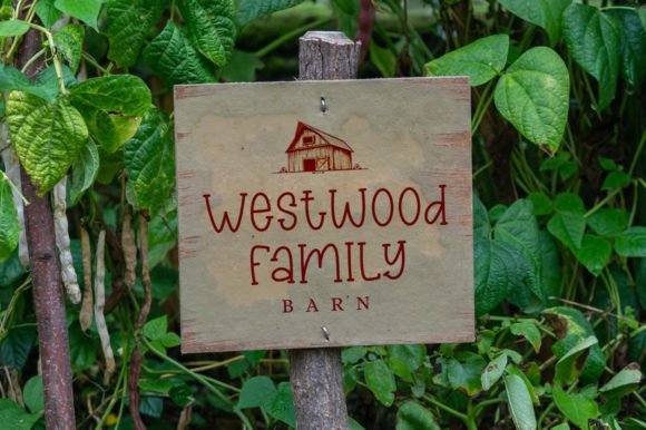 Country Harvest Font - Preview 3