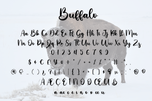 Buffalo Font - Preview 6