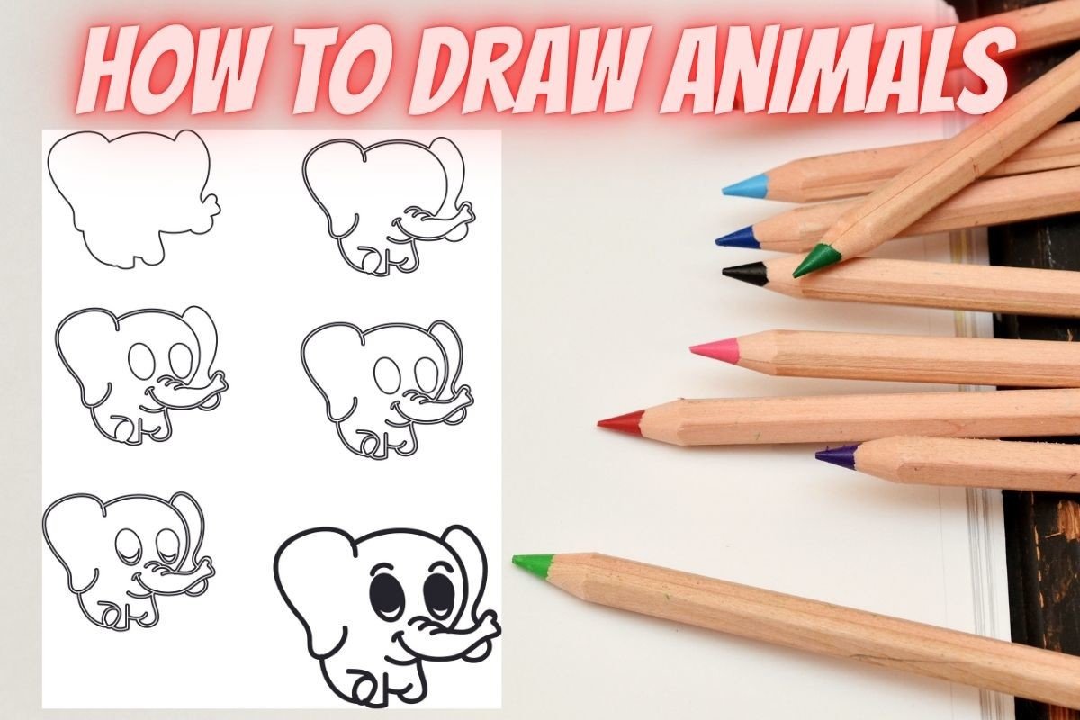 How to Draw Animals Step by Step- Elephant