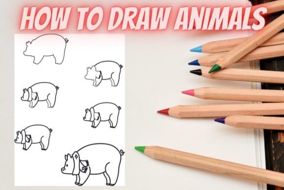 How to Draw Animals Step by Step- Pig