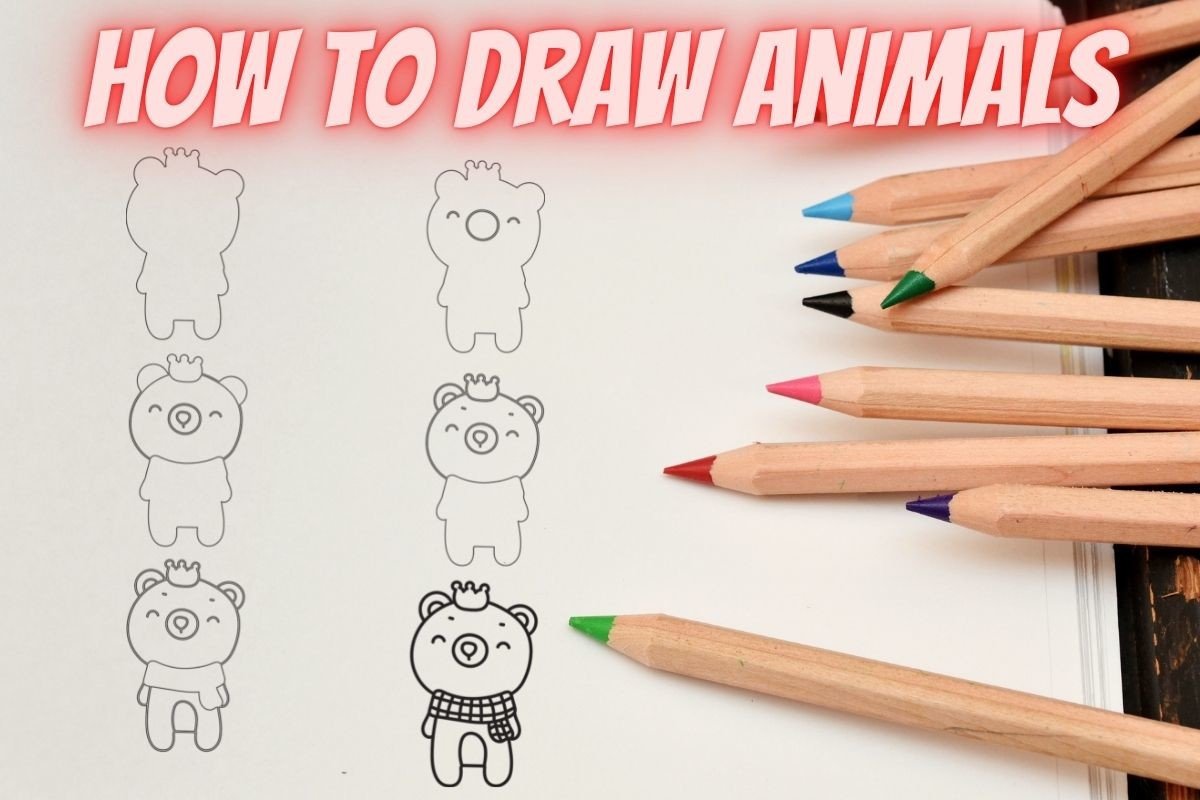 How to Draw Animals Step by Step-Bear