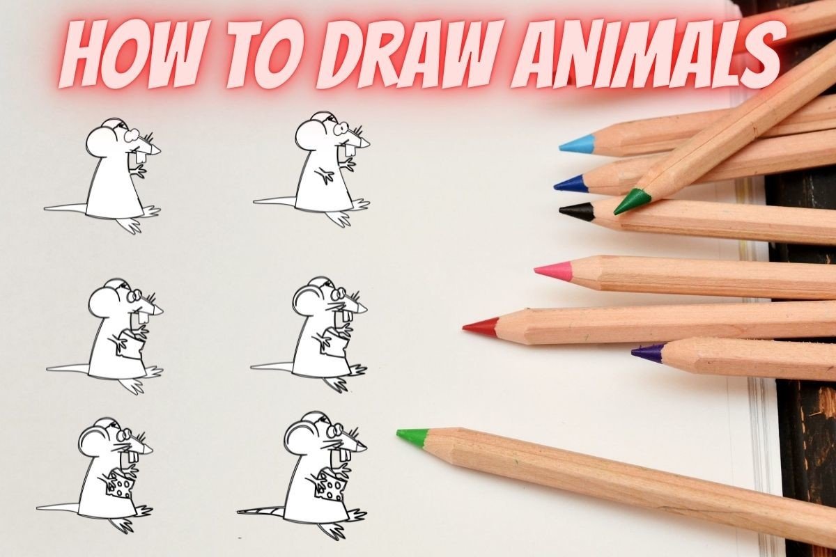 How to Draw Animals Step by Step-Mouse