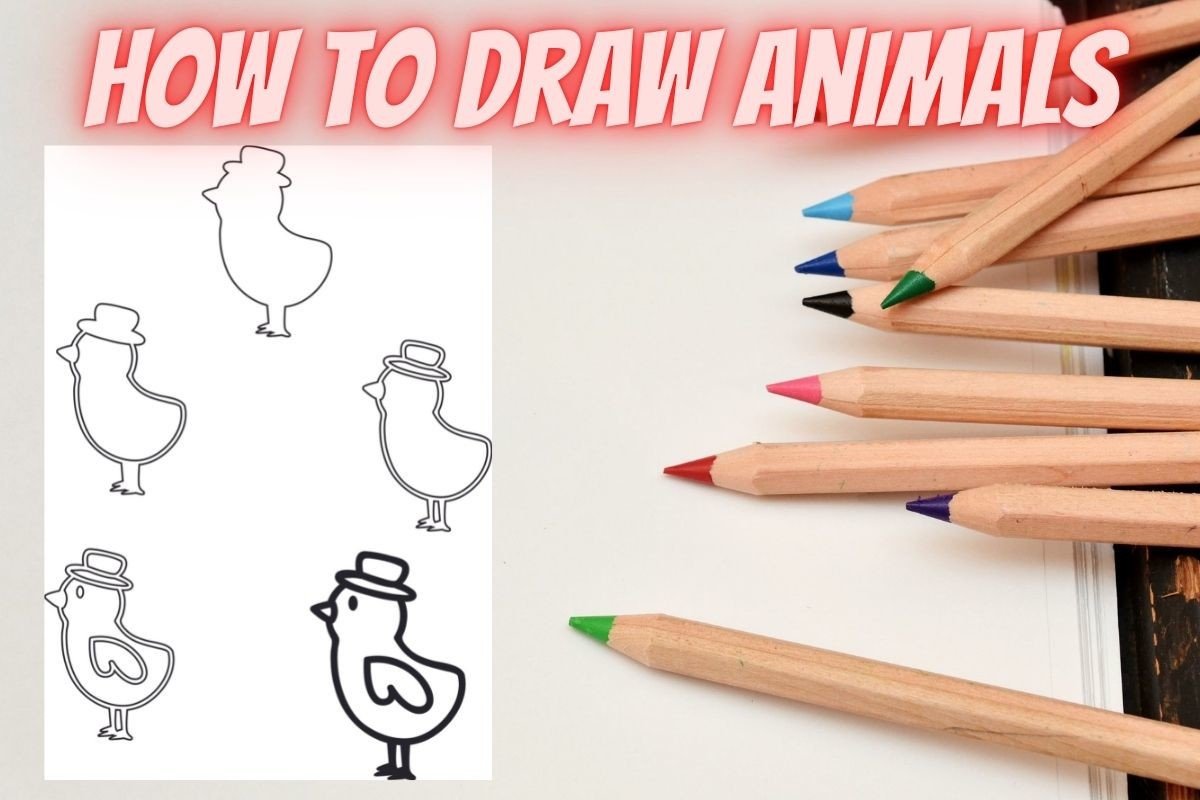 How to Draw Animals Step by Step-Chick