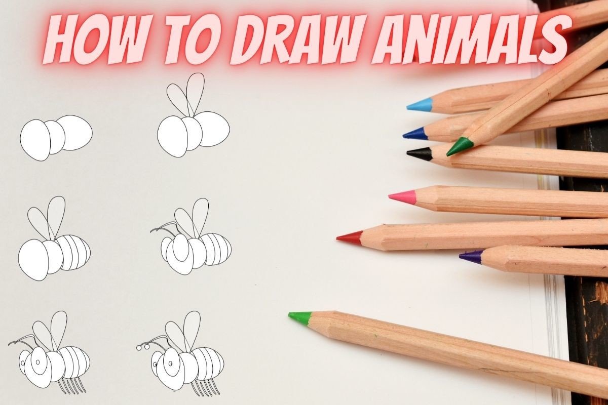 How to Draw Animals Step by Step-Bee