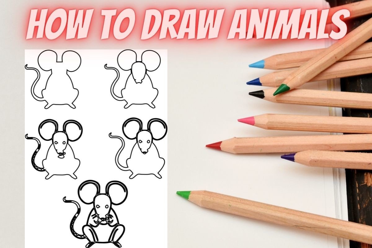 How to Draw Animals Step by Step-Mouse