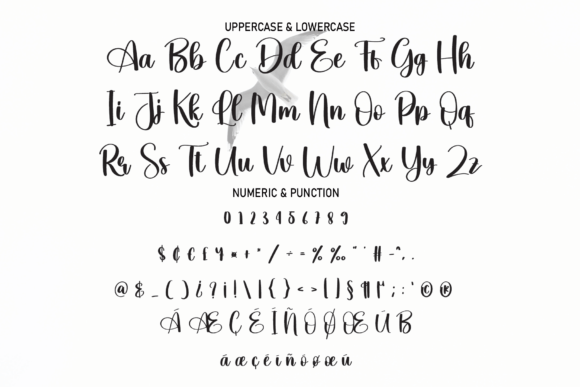 Seabird Font PNG with transparent background - Preview 6