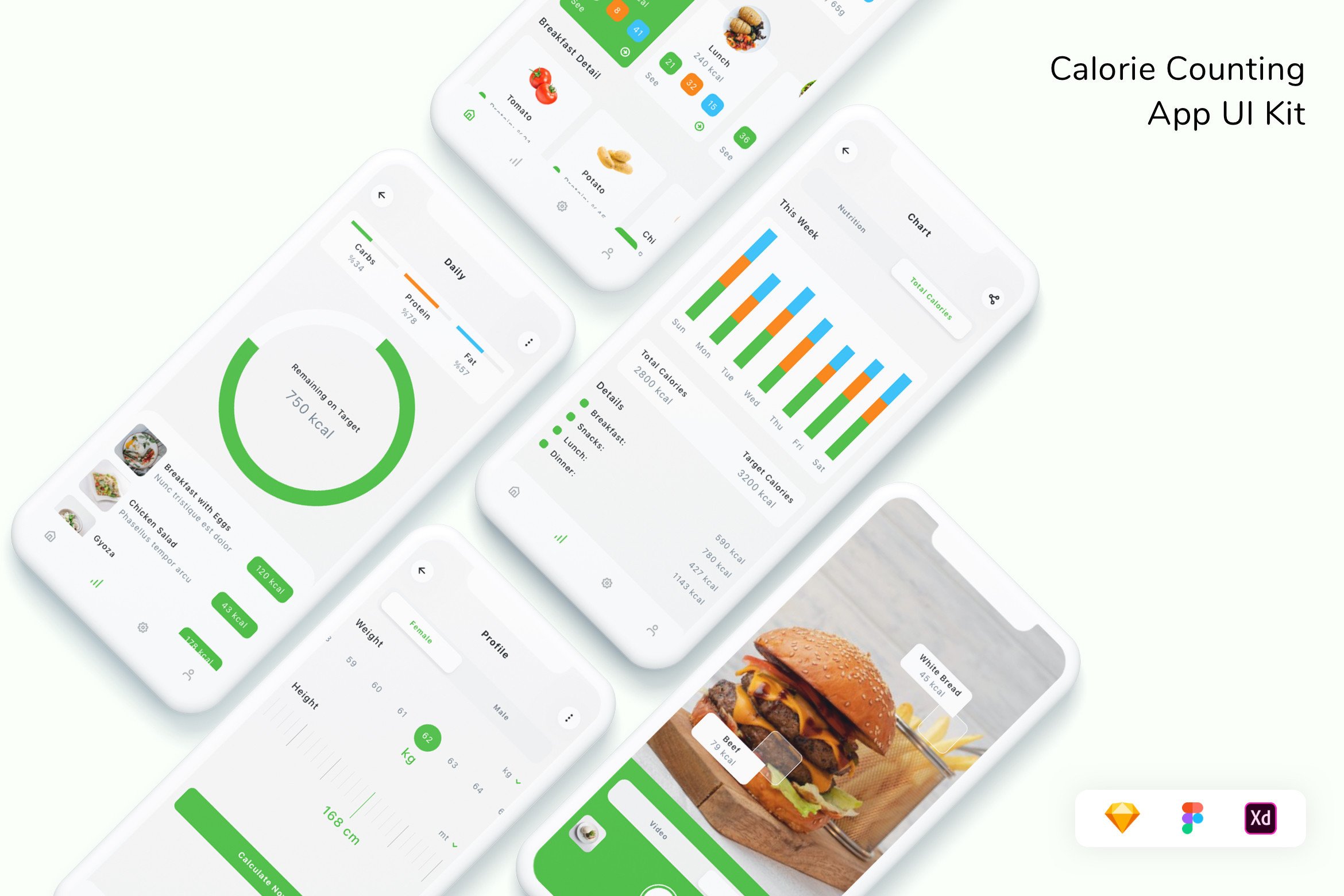 Calorie Counting App UI Kit Graphic by betush · Creative Fabrica