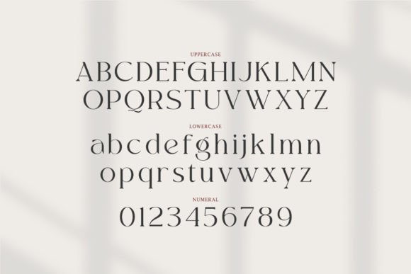 Kayonest Font PNG with transparent background - Preview 1