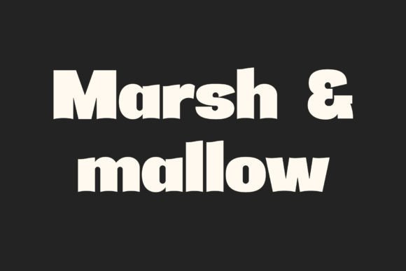Collety Font - Preview 2