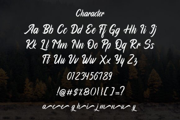 Agustiyan Font - Preview 3
