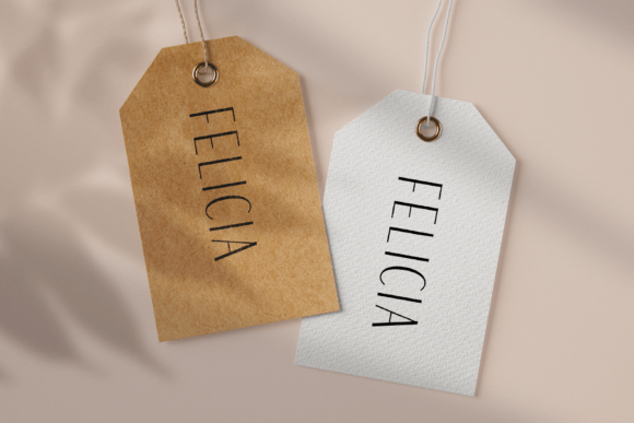 Felicia Font - Preview 5