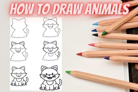 How to Draw Animals Step by Step Cat